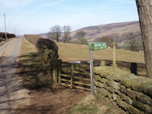 Farndale footpath