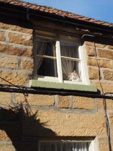 Daffy Cafe, Farndale