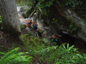 Gorge-walking-Yorkshire-jungle