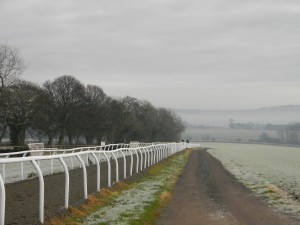 Malton gallops 1